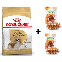 Royal Canin Cavalier King Charles 1.5 kg Yetişkin Köpek Maması + 2x80 gr Wooc Ödül