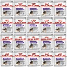 Royal Canin Ccn Sterilised Pouch 20x85 gr Köpek Yaş Maması
