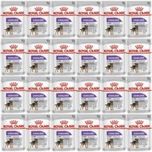 Royal Canin Ccn Sterilised Pouch 24x85 gr Köpek Yaş Maması