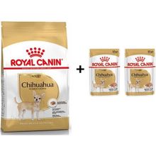 Royal Canin Chihuahua 1.5 kg Yetişkin Köpek Maması + 2 Adet Yaş Mama