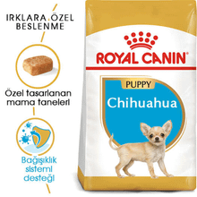 Royal Canin Chihuahua 1,5 kg Yetişkin Kuru Köpek Maması