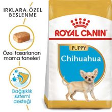 Royal Canin Chihuahua Puppy 1,5 kg Yavru Köpek Maması + Temizlik Mendili