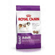 Royal Canin Dog Shn Giant Adult 15 Kg Köpek Maması