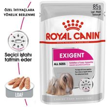 Royal Canin Exigent Adult Dog Pouch 85 gr Köpek Maması