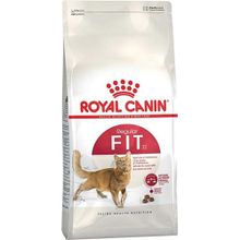 Royal Canin Fit 32 10 kg Yetişkin Kuru Kedi Maması