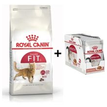Royal Canin Fit 32 4 kg Kedi Maması + 12 Adet Yaş Mama