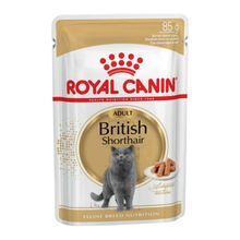 Royal Canin Gravy British Shorthair 85 gr Yetişkin Kedi Konserve