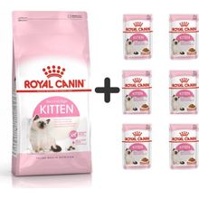 Royal Canin Kitten 2 kg Yavru Kuru Kedi Maması + 6 Adet Yaş Mama