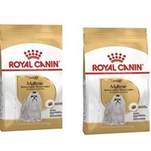 Royal Canin Maltese Bichon Maltais 2x1.5 kg Yetişkin Köpek Maması