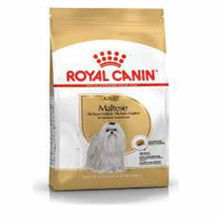 Royal Canin Maltese Terrier 1,5 kg Yetişkin Köpek Maması