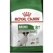 Royal Canin Mini Adult +8 Küçük Irk Yaşlı 2 kg Köpek Maması