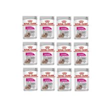 Royal Canin Mini Exigent 6x85 gr Köpek Yaş Mama