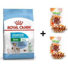 Royal Canin Mini Starter Küçük Irk 4 kg Anne ve Yavru Köpek Maması + 2x80 gr Wooc Ödül