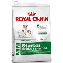 Royal Canin Mini Starter Mini Irk Hamile Emziren Anneler ve Onların Yavruları için 3 kg Köpek Maması