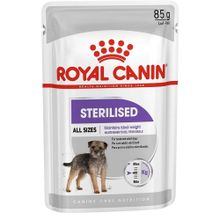 Royal Canin Mini Sterilised Pounch Kısır 12 x 85 gr Köpek Yaş Maması