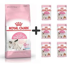 Royal Canin Mother Babycat 4 kg Yavru Kuru Kedi Maması + 6 Adet Yaş Mama