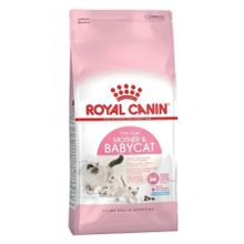 Royal Canin Mother Babycat Yavru Özel 4 kg Kedi Maması