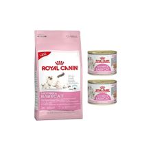 Royal Canin Mother Yavru Özel İçerik 4 kg Kedi Maması
