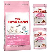 Royal Canin Mother&Baby Kitten 2 kg Yavru Kedi Maması + Kitten 2 Adet Original Yavru Yaş Kedi Maması
