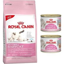 Royal Canin Mother&Baby Yavru 2 kg Kedi Maması + 2x195 gr Konserve Yavru Kedi Maması