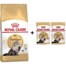 Royal Canin Persian Yetişkin 4 kg Kedi Maması + 2 Adet Yaş Mama Hediye