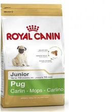 Royal Canin Pug 15 kg Köpek Maması