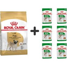 Royal Canin Pug Irkı Özel 1.5 kg Köpek Maması + 6 Adet Yaş Mama