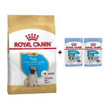 Royal Canin Pug Junior 1.5 kg Yavru Köpek Maması + 2 Adet Hediye Yaş Mama