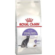 Royal Canin Regular Sterilised 37 4 kg Kısırlaştırılmış Yetişkin Kuru Kedi Mama