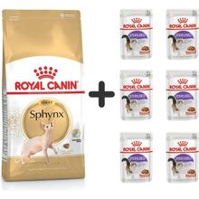 Royal Canin Sphynx 2 kg Yetişkin Kedi Maması + 6 Adet Yaş Mama