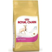 Royal Canin Sphynx 2 KG Yetişkin Kedi Maması