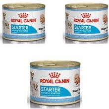 Royal Canin Starter Mousse 3x195 gr Anne ve Yavruları İçin Köpek Konservesi