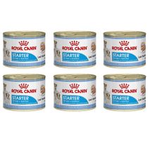 Royal Canin Starter Mousse 6x195 gr Yavru Köpek Konserve