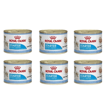 Royal Canin Starter Mousse Anne ve 6x185 gr Yavru Köpek Konservesi