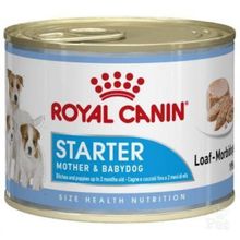 Royal Canin Starter Mousse Mother and Babydog 195 gr Yavru Köpek Konserve Maması