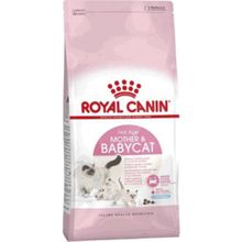 Royal Canin Yavru Açık 2 kg Kedi Maması