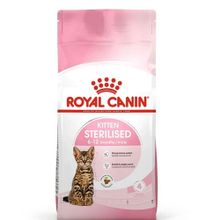 Royal Canin Yavru Kısır Özel 2 kg Kedi Maması