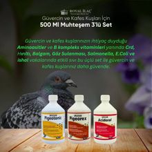 Royal Pigeotonic Pigeorex Acidoral 3'lü 500 ml Tamamlayıcı Yem Seti