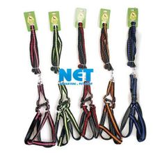 Royalist 201644 2.5 cm Elastik Köpek Koşum Seti