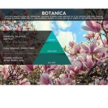 Rulopak M7 Botanica 100 ml Koku Kartuşu