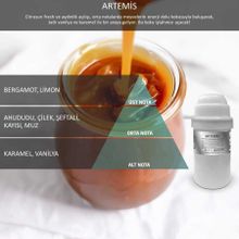 Rulopak Nanoplus M7 Artemis 200 ml Koku Kartuşu