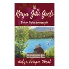 Rüya Gibi Geçti-Luna Yayınları
