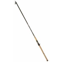 Ryobi Zeta 290 cm 30-110 gr Olta Kamışı