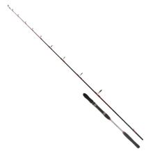 Ryuji Searider 1.80 mt 60-180 gr 2P Olta Kamışı