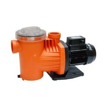 Saci Monofaze Winner Serisi 0.75 hp Havuz Pompası