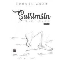 Şairimsin - İsimsiz Şiirlerim - Songül Acar