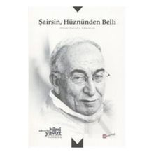 Şairsin Hüznünden Belli - Hilmi Yavuza Armağan - kollektif