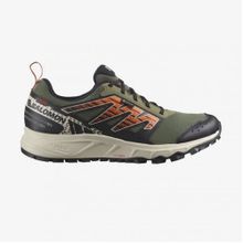 Salomon L47148500 Yeşil Wander Gtx Erkek Outdoor Ayakkabı