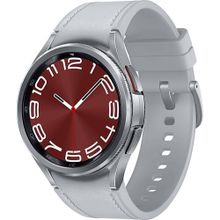 Samsung Galaxy Watch 6 43 mm Gümüş Akıllı Saat