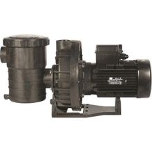 Santem Vısco 2 Hp 1.5 Kw Monofaze Havuz Pompası